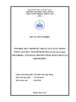Tìm hiểu quy trình kỹ thuật sản xuất giống nhân tạo hầu thái bình dương (crassostrea gigas (thunberg, 1793) bằng phương pháp bám chùm tại khánh hòa 