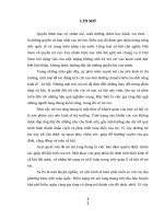 tiểu luận tốt nghiệp trung cấp CT