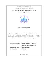 Xác định điều kiện biểu hiện thích hợp trong escherichia coli cho bacteriocin dlazu6 có tiềm năng kháng ung thư từ dorea longicatena 