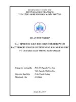 Xác định điều kiện biểu hiện thích hợp cho bacteriocin cnazu8 có tiềm năng kháng ung thư từ clostridium nexile ttrong escherichia coli 