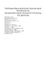 Bản vẽ autocad thiết kế sản xuất dầm cầu super T BTCT ứng suất trước