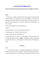 Phân tích marketing trong hoạt động kinh doanh của piaggio tại việt nam