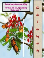 Bài 5. Thực hành: Phân tích và so sánh tháp dân số năm 1989 và năm 1999