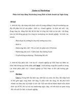 Phân tích hoạt động marketing trong lĩnh vự kinh doanh tại ngân hàng 