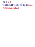 Bài 18. Vùng Trung du và miền núi Bắc Bộ (tiếp theo)