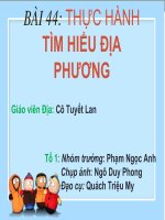 Bài 44. Thực hành: Tìm hiểu địa phương