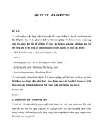 Phân tích sự khác biệt trong kênh phân phối của đèn compact ECL   EVN tại việt nam 