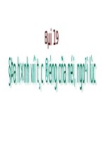 Bài 19. Địa hình với tác động của nội, ngoại lực