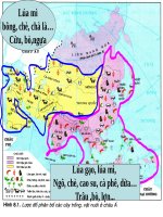 Bài 8. Tình hình phát triển kinh tế - xã hội ở các nước châu Á