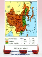 Bài 13. Tình hình phát triển kinh tế - xã hội khu vực Đông Á