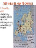 Bài 55. Kinh tế châu Âu
