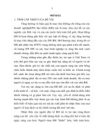 Các yếu tố ảnh hưởng đến hành vi khách hàng tiêu dùng sản phẩm của công ty bảo việt đà nẵng (tt) 