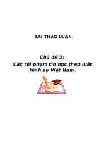 Các tội phạm tin học theo luật hình sự Việt Nam.