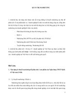 Vận dụng lý thuyết marketing để phân tích 1 sản phẩm của ngân hàng TMCP quốc tế việt nam VIB