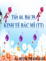 Bài 39. Kinh tế Bắc Mĩ (Tiếp theo)