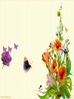 Bài 34. Các hệ thống sông lớn ở nước ta