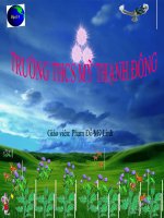 Bài 22. Thực hành: Vẽ và phân tích biểu đồ về mối quan hệ giữa dân số, sản lượng lương thực và bình quân lương thực theo đầu người