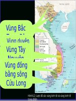 Bài 17. Vùng Trung du và miền núi Bắc Bộ