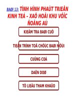 Bài 13. Tình hình phát triển kinh tế - xã hội khu vực Đông Á