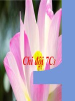 Bài 25. Dùng cụm chủ - vị để mở rộng câu