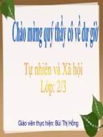 Bài 9. Đề phòng bệnh giun