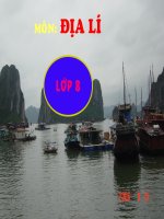 Bài 6. Thực hành: Đọc, phân tích lược đồ phân bố dân cư và các thành phố lớn của châu Á