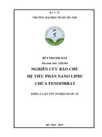 Nghiên cứu bào chế hệ tiểu phân nano lipid chứa fenofibrat 