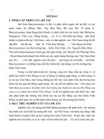 Vận dụng mô hình bancassurance để phát triển thị trường bảo hiểm tài sản tại đà nẵng của công ty cổ phần bảo hiểm viễn đông (tt) 