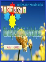 Lịch sử địa phương - Nghệ thuật võ Bình Định