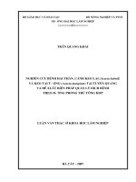 Nghiên cứu bệnh hại thân, cành keo lai (acacia hybrid) tại tuyên quang và đề xuất biện pháp quản lý dịch bệnh theo hướng phòng trừ tổng hợp 