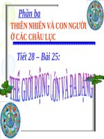 Bài 25. Thế giới rộng lớn và đa dạng