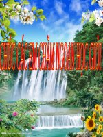 Bài 2. Dân số và gia tăng dân số