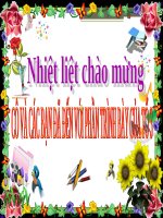 Chương II. §1. Tổng ba góc của một tam giác