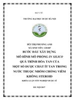 Bước đầu xây dựng mô hình phỏng in silico quá trình hòa tan của một ố dược chất ít tan trong nước thuộc nhóm chống viêm không steroid 