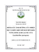 Khảo sát ảnh hưởng của nhiệt độ và điều kiện hô hấp đến khả năng sinh acid lactic của lactobacillus sporogenes 