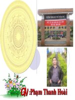 Bài 19. Bước phát triển của cuộc kháng chiến toàn quốc chống thực dân Pháp (1951 - 1953)