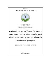 Khảo sát ảnh hưởng của nhiệt độ và đều kiện hô hấp đến khả năng sinh enzym ngoại bào của lactobacillus sporogenes 