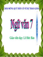Bài 6. Từ Hán Việt (tiếp theo)