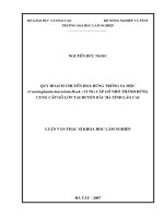 Quy hoạch chuyển hóa rừng trồng sa mộc (cunninghamia lanceolata hook) cung cấp gỗ nhỏ thành rừng cung cấp gỗ lớn tại huyện bắc hà tỉnh lào cai 
