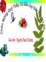 Chương I. §5. Tia