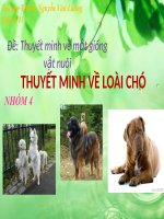 thuyết minh về con vật em yêu thích
