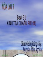 Bài 31. Kinh tế châu Phi (tiếp theo)