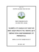 Nghiên cứu khảo sát một số điều kiện phản ứng trong quy trình tổng hợp berberin từ piperonal 