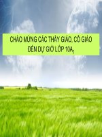 Bài 28. Truyền thống yêu nước của dân tộc Việt Nam thời phong kiến
