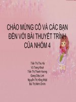 KẾ HOẠCH KINH DOANH QUÁN TRÀ FOCUS