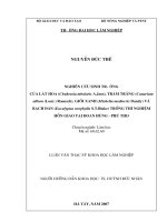 Nghiên cứu sinh trưởng của lát hoa (chukrasia album (lour ) raeusch), giổi xanh (michelia mediocris dandy) và bạch đàn (eucalyptus urophtus s t  balake) trồng thí nghiệm hỗn giao tại đoan hùng   phú thọ 