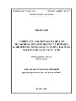 Nghiên cứu ảnh hưởng của mật độ trồng rừng đến sinh trưởng và hiệu quả kinh tế rừng trồng keo tai tượng tại vùng nguyên liệu giấy trung tâm 