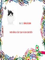 Bài 11. Sán lá gan