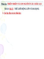 Bài 25. Thế giới rộng lớn và đa dạng