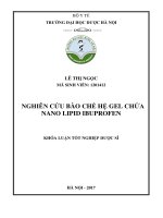 Nghiên cứu bào chế hệ gel chứa nano lipid ibuprofen 